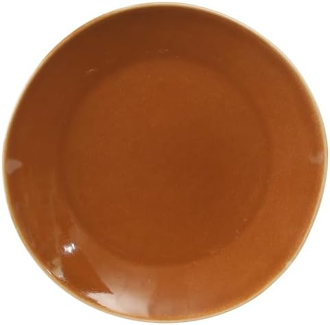 Bloomhouse - Two Time Oprah's Favorite Things Winner - Montecito Breeze 16 Piece (Service for 4) Double Plates and Bowls Stoneware Reactive Glaze Dinnerware Set - Terracotta Canyon - Image 5