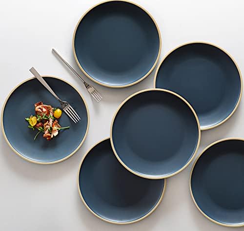 Melamine Dishes Sets of 6, Melamine Plates,10.5 Inch Dinner Plates, Outdoor Dinnerware Sets, Unbreakable, BPA Free, Dishwasher Safe, Blue - Image 5
