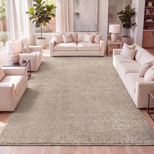 JONATHAN Y Haze Solid Low-Pile Beige Indoor Area Rug 4x6, Coastal,Bohemian,Minimalist,Classic, Easy-Cleaning for Living Room,Bedroom,Kitchen,Pet Friendly,Non-Shedding (SEU100G-4) by JONATHANY
