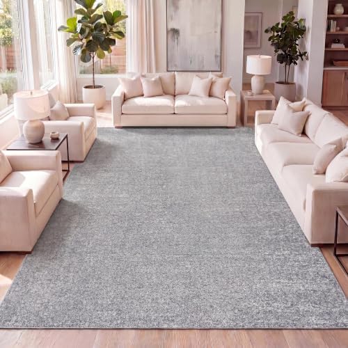 JONATHAN Y Haze Solid Low-Pile Gray Indoor Area Rug 6x9, Coastal,Bohemian,Minimalist,Classic, Easy-Cleaning for Living Room,Bedroom,Kitchen,Pet Friendly,Non-Shedding (SEU100A-6) by JONATHANY