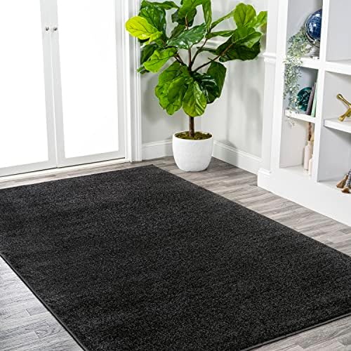 JONATHAN Y Haze Solid Low-Pile Black Indoor Area Rug 4x6, Coastal,Bohemian,Minimalist,Classic, Easy-Cleaning for Living Room,Bedroom,Kitchen,Pet Friendly,Non-Shedding (SEU100I-4) - Image 3
