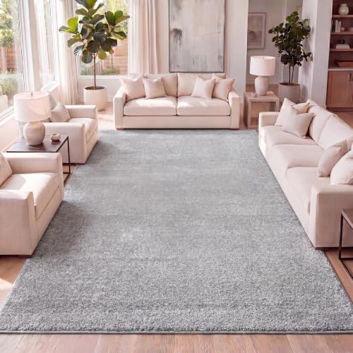 JONATHAN Y Haze Solid Low-Pile Light Gray Indoor Area Rug 5x8, Coastal,Bohemian,Minimalist,Classic, Easy-Cleaning for Living Room,Bedroom,Kitchen,Pet Friendly,Non-Shedding (SEU100K-5) by JONATHANY