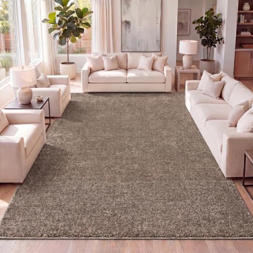 JONATHAN Y Haze Solid Low-Pile Brown Indoor Area Rug 3x5, Coastal,Bohemian,Minimalist,Classic, Easy-Cleaning for Living Room,Bedroom,Kitchen,Pet Friendly,Non-Shedding (SEU100J-3) by JONATHANY