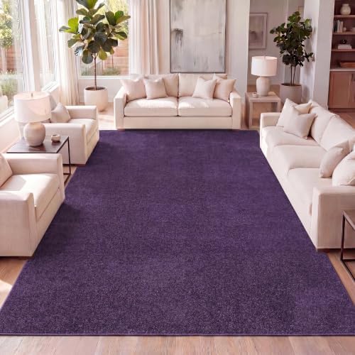 JONATHAN Y Haze Solid Low-Pile Purple Indoor Area Rug 12x15, Coastal,Bohemian,Minimalist,Classic, Easy-Cleaning for Living Room,Bedroom,Kitchen,Pet Friendly,Non-Shedding (SEU100N-15) by JONATHANY