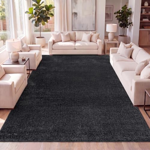 JONATHAN Y Haze Solid Low-Pile Black Indoor Area Rug 8x10, Coastal,Bohemian,Minimalist,Classic, Easy-Cleaning for Living Room,Bedroom,Kitchen,Pet Friendly,Non-Shedding (SEU100I-8) by JONATHANY