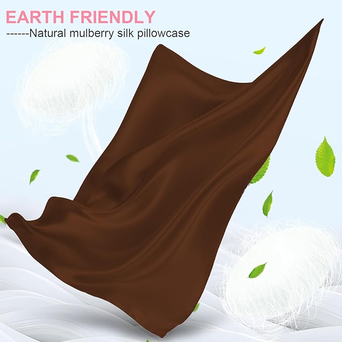 Mulberry Silk Pillow Cases 2 Pack Queen Size 20x30 Inches with Hidden Zipper, Ultra Smooth and Soft Breathable Cooling Silk Satin Pillowcase Set of 2, Better for Hair and Skin, Gifts for Women Men