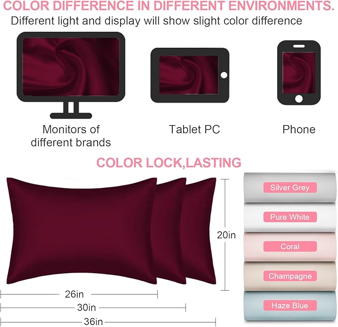 Mulberry Silk Pillow Cases 2 Pack King Size 20x36 Inches with Hidden Zipper, Ultra Smooth and Soft Breathable Cooling Silk Satin Pillowcase Set of 2, Better for Hair and Skin, Gifts for Women Men
