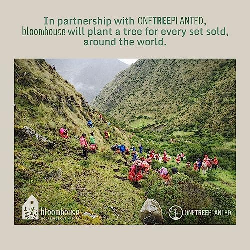 Bloomhouse - Two Time Oprah's Favorite Things Winner - Santorini Mist Double Bowl Terracotta Reactive Glaze Plates and Bowls Dinnerware Set - Moonstone White, Service for Four (16pcs) - Image 7