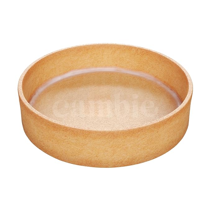 Cambie Square Vanilla Tart Shells, French Style Tart Shells, White Chocolate Coating (Round, 1 Count (Pack of 1))