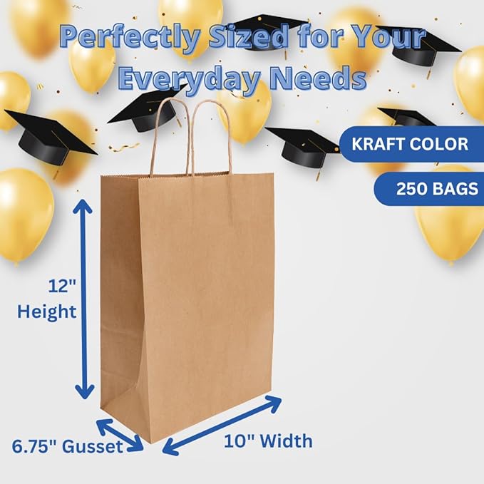 ASSUREPAK DIY Earth Friendly Paper Bags - 10"x6.75"x12" - 250 Bags - 90 GSM - Kraft/Natural - Gift Bags for Decorating & Graduation Parties