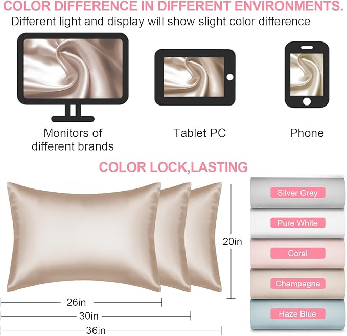 Mulberry Silk Pillow Cases 2 Pack Queen Size 20x30 Inches with Hidden Zipper, Ultra Smooth and Soft Breathable Cooling Silk Satin Pillowcase Set of 2, Better for Hair and Skin, Gifts for Women Men