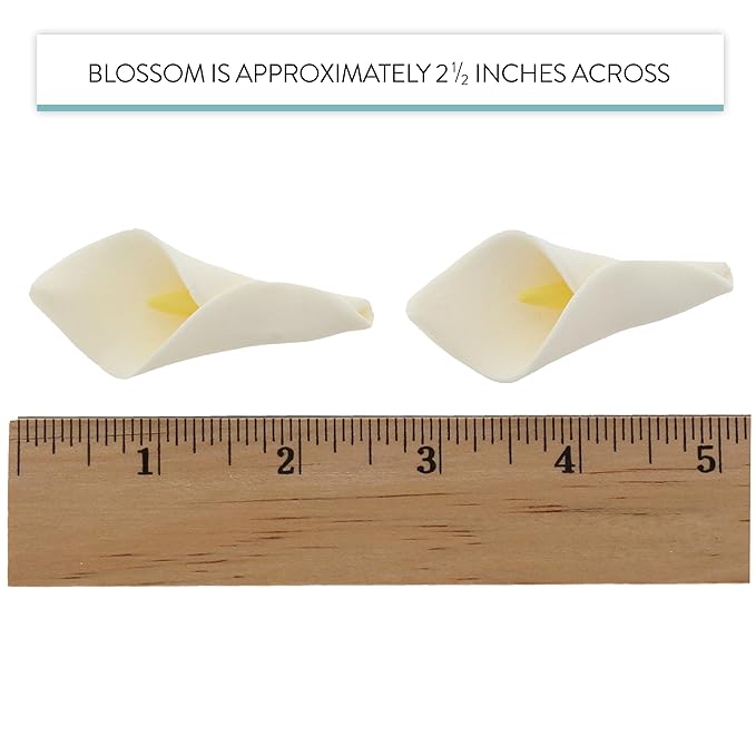 Global Sugar Art Calla Lily Sugar Cake Flowers White with Yellow, Unwired, Medium 18 Count by Chef Alan Tetreault