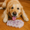 7.5IN Big Fish Bone Dog Cat Treat Mold 1 Pack, DIY Flavors for Puppy. Food Safe Silicone for Oven. Large Ice Cube Mold for Pet Chew, Cooling. Pets Birthday Cake Baking. Fun Gift for Dog Lover