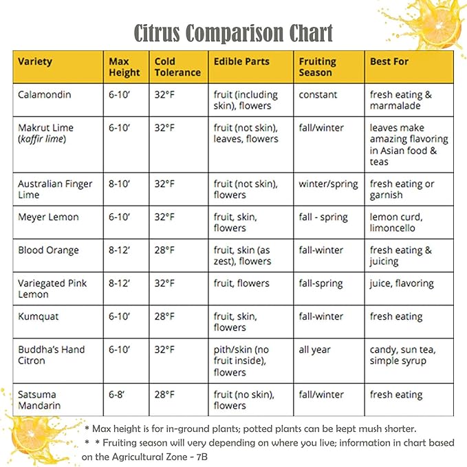 Orange Peeler, Orange Peeler Tool, Citrus Peeler Tool - Cut into Rind EASIER & Peeling Rind off Oranges, Kitchen Gadget Must Have, 3 Pack