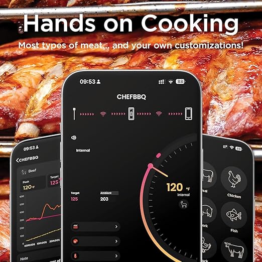 Wireless Meat Thermometer with Digital Meat Probe, Measures Internal & Ambient Temp, 800FT Bluetooth Meat Thermometer with Host Control for Barbecue, Outdoor Grilling, Oven & Smoker (Black)