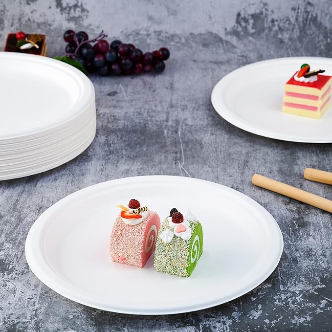 Vplus 500 Pack Compostable Disposable Paper Plates 10.25 inch Super Strong Paper Plates 100% Bagasse Natural Biodegradable Eco-Friendly Sugarcane (white)