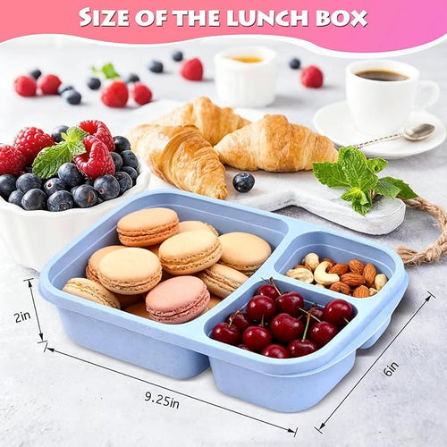 4 Pack Adult Lunch Box Set, Reusable 3-compartment food containers, Microwave and Dishwasher Safe (4 light color)