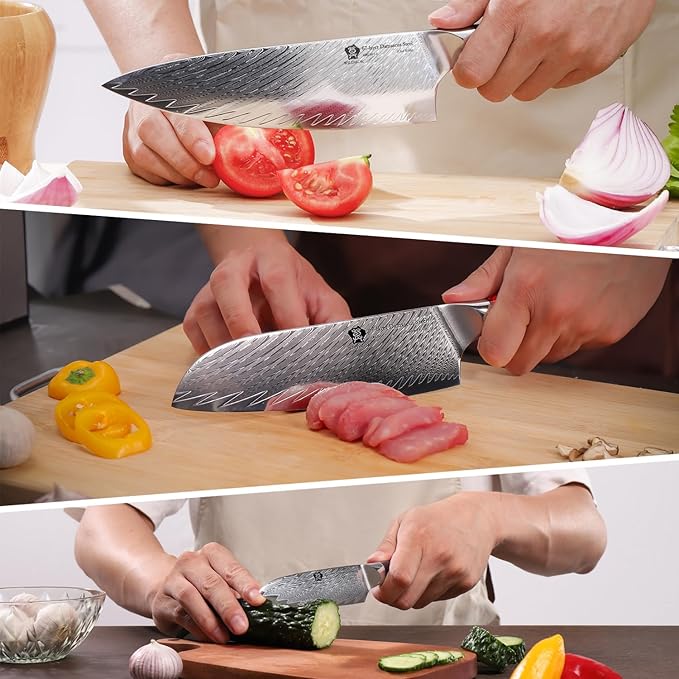 WILDMOK Kitchen Knife Set, 3 Piece Damascus Steel Professional Chef Knife Set with Ultra Sharp Blade & Resin Handle -Kitchen Knife Set 3 Pcs