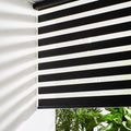 Persilux Cordless Zebra Roller Window Shades Free-Stop Roller Blinds (32" W X 72" H, Black) Light Control for Day and Night, Light Filtering Sheer Roller Shades for Windows, Easy to Install