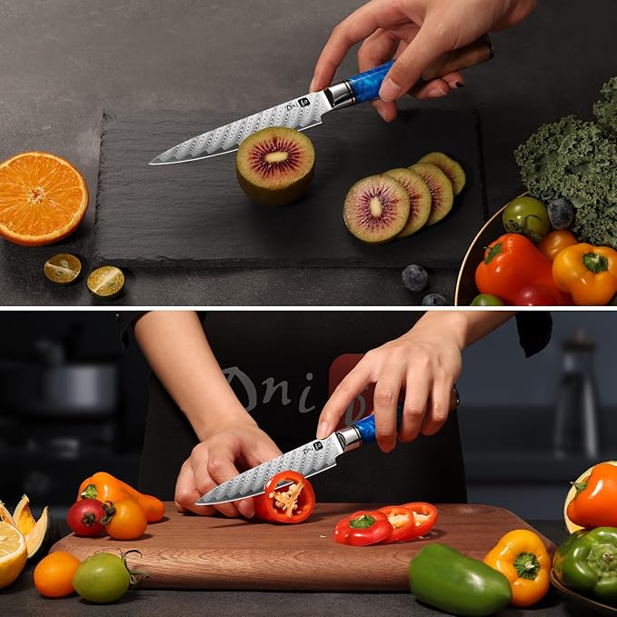 Kitchen Utility Knife 5 Inch, Japanese VG10 Steel Damascus Paring knife, Small Kitchen chef Knife with Gift Box and Resin Wood Handle, Ideal Birthday Gift for Men and Women