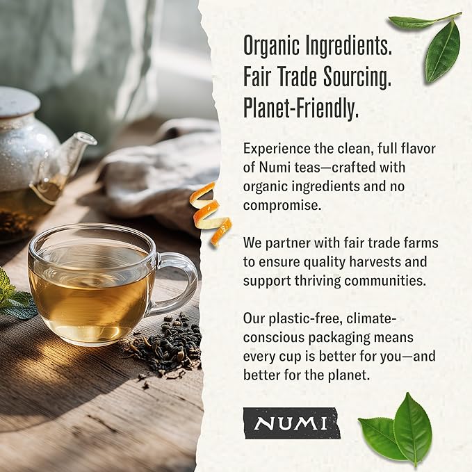 Numi Organic Tea Gunpowder Green, 18 Count Box of Tea Bags (Pack of 3) (Packaging May Vary)