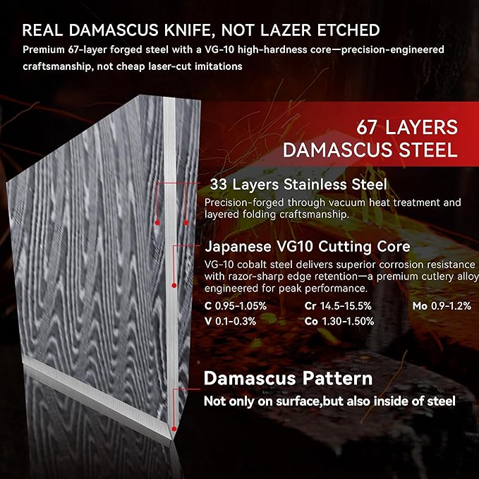8" Chef's Knife, Japanese Damascus Chefs Knife 67 Layers High Carbon VG10 Steel Core with Resin & Burl Ergonomic Handle, Gift Box