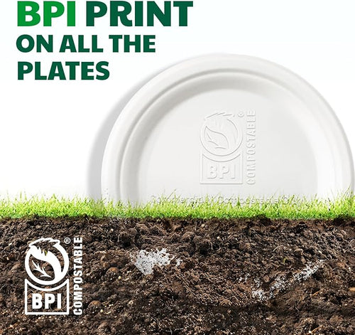 100% Compostable Paper Plates, 9 Inch, 125 Count, Biodegradable Bagasse Plates, Heavy Duty Disposable Plates Bulk for Party | Microwave-Safe | Soak-Resistant, Cut Resistant