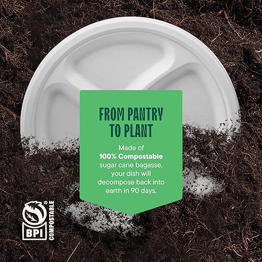 100% Compostable Paper Plates 10 Inch Bulk [500 Count] Heavy-Duty Dinner Plates with Compartments - Natural White Color Bagasse - Eco-Friendly Disposable Biodegradable Sugarcane - [Case 4/125 Pack]